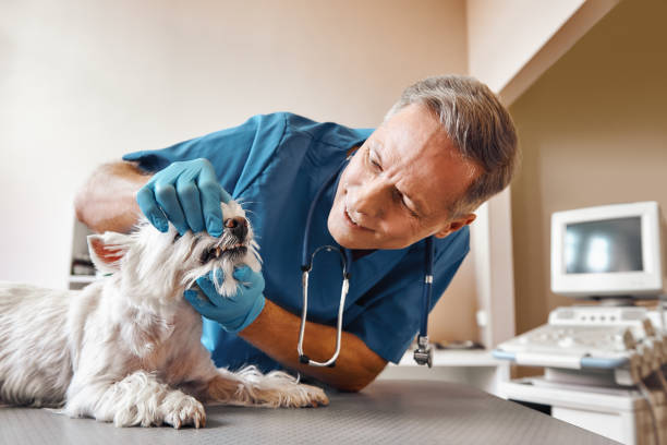 Best Emergency Root Canal Treatment in Decatur, AL